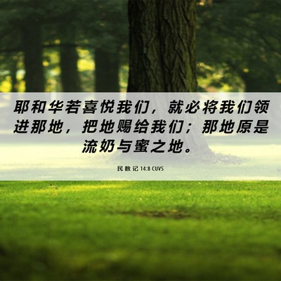 Picture 06 - 民 数 记 14:8 CUVS - 耶 和 华 若 喜 悦 我 们 ， 就 必 将 - Bible Verse Picture