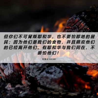 Picture 06 - 民 数 记 14:9 CUVS - 但 你 们 不 可 背 叛 耶 和 华 ， 也 - Bible Verse Picture