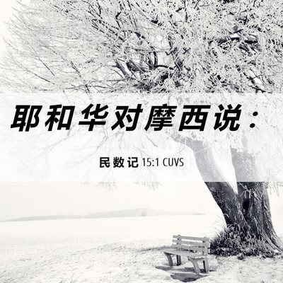 Picture 06 - 民 数 记 15:1 CUVS - 耶 和 华 对 摩 西 说 - Bible Verse Picture