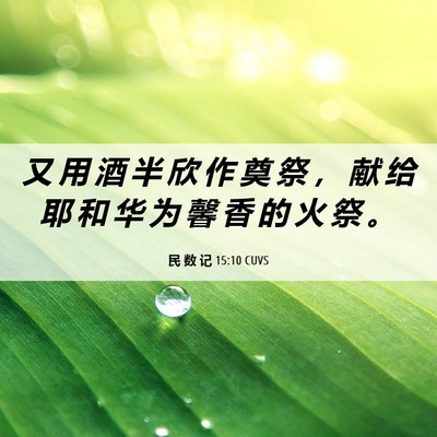 Picture 06 - 民 数 记 15:10 CUVS - 又 用 酒 半 欣 作 奠 祭 ， 献 给 耶 - Bible Verse Picture