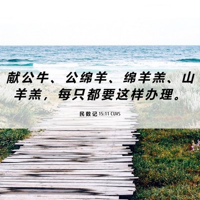 Picture 06 - 民 数 记 15:11 CUVS - 献 公 牛 、 公 绵 羊 、 绵 羊 羔 、 - Bible Verse Picture