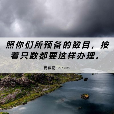 Picture 06 - 民 数 记 15:12 CUVS - 照 你 们 所 预 备 的 数 目 ， 按 着 - Bible Verse Picture