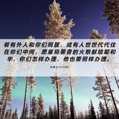 Picture 06 - 民 数 记 15:14 CUVS - 若 有 外 人 和 你 们 同 居 ， 或 有 - Bible Verse Picture