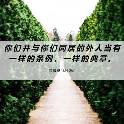 Picture 06 - 民 数 记 15:16 CUVS - 你 们 并 与 你 们 同 居 的 外 人 当 - Bible Verse Picture
