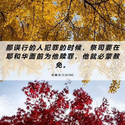 Picture 06 - 民 数 记 15:28 CUVS - 那 误 行 的 人 犯 罪 的 时 候 ， 祭 - Bible Verse Picture