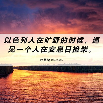 Picture 06 - 民 数 记 15:32 CUVS - 以 色 列 人 在 旷 野 的 时 候 ， 遇 - Bible Verse Picture