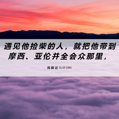 Picture 06 - 民 数 记 15:33 CUVS - 遇 见 他 捡 柴 的 人 ， 就 把 他 带 - Bible Verse Picture