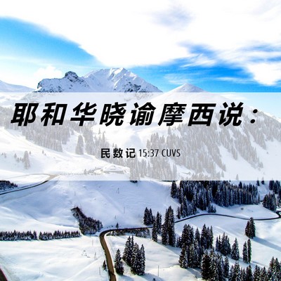 Picture 06 - 民 数 记 15:37 CUVS - 耶 和 华 晓 谕 摩 西 说 - Bible Verse Picture