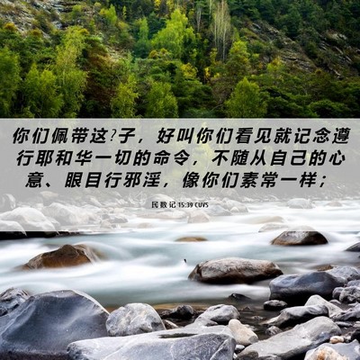 Picture 06 - 民 数 记 15:39 CUVS - 你 们 佩 带 这 ? 子 ， 好 叫 你 们 看 - Bible Verse Picture