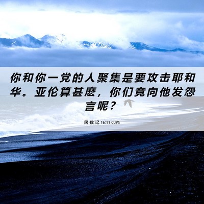 Picture 06 - 民 数 记 16:11 CUVS - 你 和 你 一 党 的 人 聚 集 是 要 攻 - Bible Verse Picture