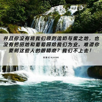 Picture 06 - 民 数 记 16:14 CUVS - 并 且 你 没 有 将 我 们 领 到 流 奶 - Bible Verse Picture
