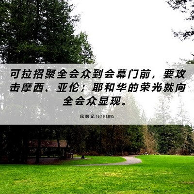 Picture 06 - 民 数 记 16:19 CUVS - 可 拉 招 聚 全 会 众 到 会 幕 门 前 - Bible Verse Picture
