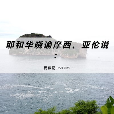 Picture 06 - 民 数 记 16:20 CUVS - 耶 和 华 晓 谕 摩 西 、 亚 伦 说 - Bible Verse Picture
