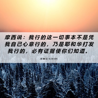 Picture 06 - 民 数 记 16:28 CUVS - 摩 西 说 ： 我 行 的 这 一 切 事 本 - Bible Verse Picture