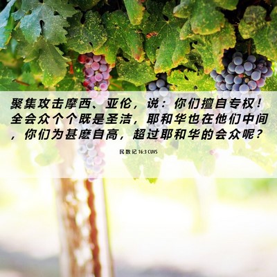 Picture 06 - 民 数 记 16:3 CUVS - 聚 集 攻 击 摩 西 、 亚 伦 ， 说 ： - Bible Verse Picture