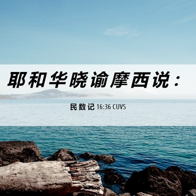 Picture 06 - 民 数 记 16:36 CUVS - 耶 和 华 晓 谕 摩 西 说 - Bible Verse Picture