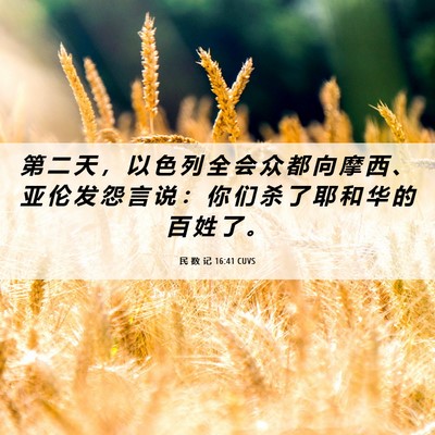 Picture 06 - 民 数 记 16:41 CUVS - 第 二 天 ， 以 色 列 全 会 众 都 向 - Bible Verse Picture