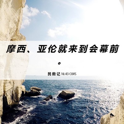 Picture 06 - 民 数 记 16:43 CUVS - 摩 西 、 亚 伦 就 来 到 会 幕 前 - Bible Verse Picture