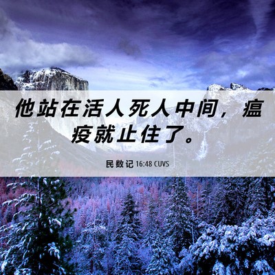 Picture 06 - 民 数 记 16:48 CUVS - 他 站 在 活 人 死 人 中 间 ， 瘟 疫 - Bible Verse Picture