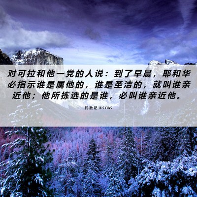Picture 06 - 民 数 记 16:5 CUVS - 对 可 拉 和 他 一 党 的 人 说 ： 到 - Bible Verse Picture