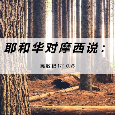 Picture 06 - 民 数 记 17:1 CUVS - 耶 和 华 对 摩 西 说 - Bible Verse Picture