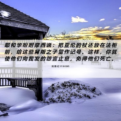 Picture 06 - 民 数 记 17:10 CUVS - 耶 和 华 吩 咐 摩 西 说 ： 把 亚 伦 - Bible Verse Picture