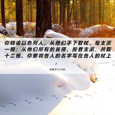Picture 06 - 民 数 记 17:2 CUVS - 你 晓 谕 以 色 列 人 ， 从 他 们 手 - Bible Verse Picture
