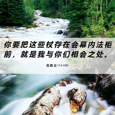 Picture 06 - 民 数 记 17:4 CUVS - 你 要 把 这 些 杖 存 在 会 幕 内 法 - Bible Verse Picture