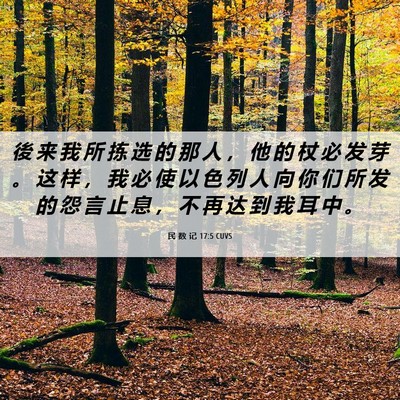 Picture 06 - 民 数 记 17:5 CUVS - 後 来 我 所 拣 选 的 那 人 ， 他 的 - Bible Verse Picture