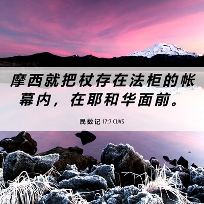 Picture 06 - 民 数 记 17:7 CUVS - 摩 西 就 把 杖 存 在 法 柜 的 帐 幕 - Bible Verse Picture