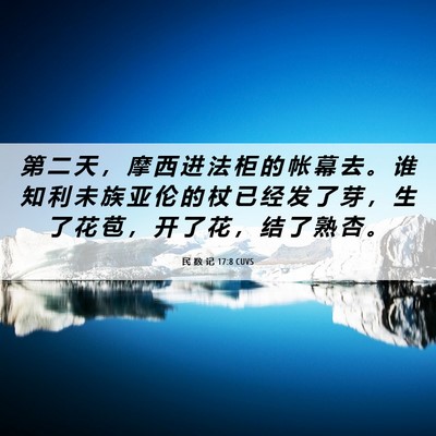 Picture 06 - 民 数 记 17:8 CUVS - 第 二 天 ， 摩 西 进 法 柜 的 帐 幕 - Bible Verse Picture