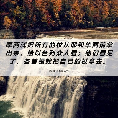 Picture 06 - 民 数 记 17:9 CUVS - 摩 西 就 把 所 有 的 杖 从 耶 和 华 - Bible Verse Picture