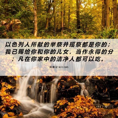 Picture 06 - 民 数 记 18:11 CUVS - 以 色 列 人 所 献 的 举 祭 并 摇 祭 - Bible Verse Picture