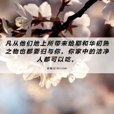 Picture 06 - 民 数 记 18:13 CUVS - 凡 从 他 们 地 上 所 带 来 给 耶 和 - Bible Verse Picture