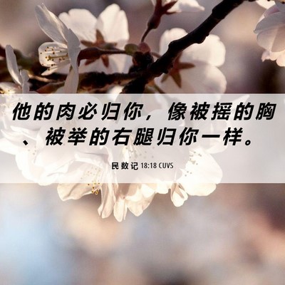 Picture 06 - 民 数 记 18:18 CUVS - 他 的 肉 必 归 你 ， 像 被 摇 的 胸 - Bible Verse Picture