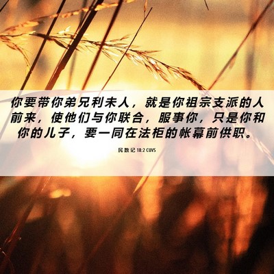 Picture 06 - 民 数 记 18:2 CUVS - 你 要 带 你 弟 兄 利 未 人 ， 就 是 - Bible Verse Picture