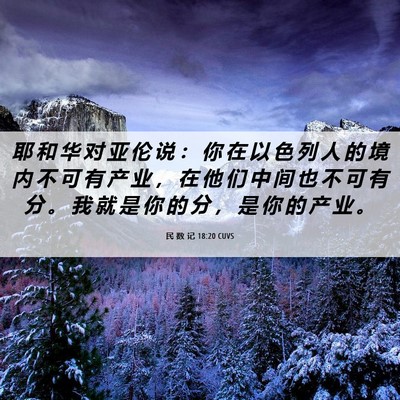 Picture 06 - 民 数 记 18:20 CUVS - 耶 和 华 对 亚 伦 说 ： 你 在 以 色 - Bible Verse Picture