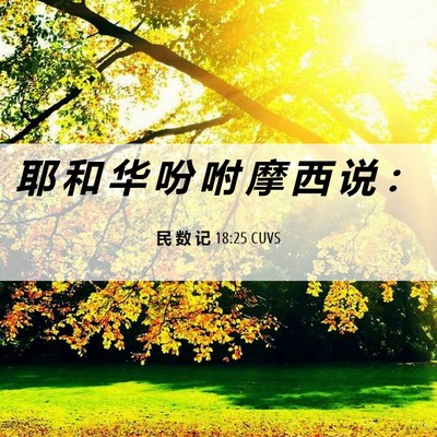 Picture 06 - 民 数 记 18:25 CUVS - 耶 和 华 吩 咐 摩 西 说 - Bible Verse Picture