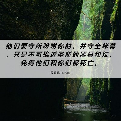 Picture 06 - 民 数 记 18:3 CUVS - 他 们 要 守 所 吩 咐 你 的 ， 并 守 - Bible Verse Picture