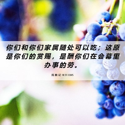 Picture 06 - 民 数 记 18:31 CUVS - 你 们 和 你 们 家 属 随 处 可 以 吃 - Bible Verse Picture