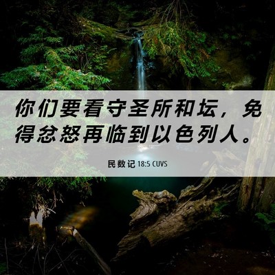 Picture 06 - 民 数 记 18:5 CUVS - 你 们 要 看 守 圣 所 和 坛 ， 免 得 - Bible Verse Picture