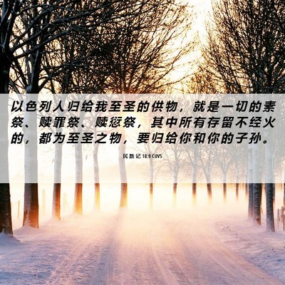 Picture 06 - 民 数 记 18:9 CUVS - 以 色 列 人 归 给 我 至 圣 的 供 物 - Bible Verse Picture