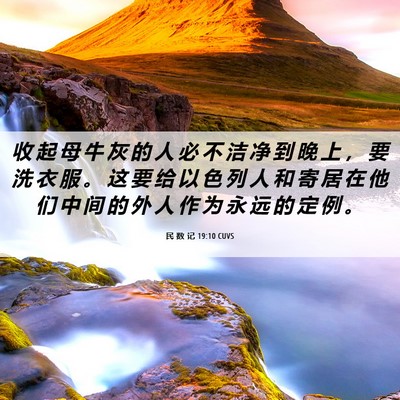 Picture 06 - 民 数 记 19:10 CUVS - 收 起 母 牛 灰 的 人 必 不 洁 净 到 - Bible Verse Picture