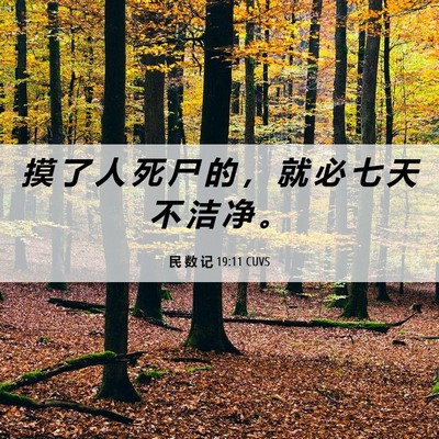 Picture 06 - 民 数 记 19:11 CUVS - 摸 了 人 死 尸 的 ， 就 必 七 天 不 - Bible Verse Picture