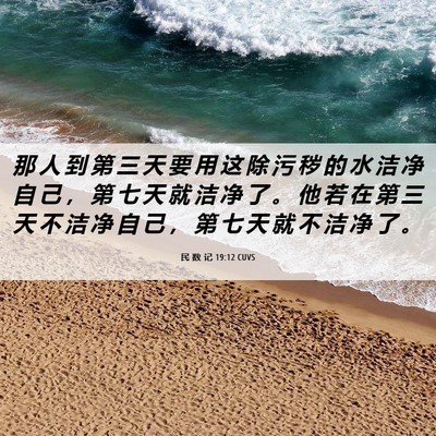 Picture 06 - 民 数 记 19:12 CUVS - 那 人 到 第 三 天 要 用 这 除 污 秽 - Bible Verse Picture