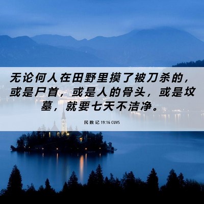 Picture 06 - 民 数 记 19:16 CUVS - 无 论 何 人 在 田 野 里 摸 了 被 刀 - Bible Verse Picture