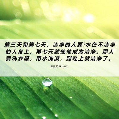 Picture 06 - 民 数 记 19:19 CUVS - 第 三 天 和 第 七 天 ， 洁 净 的 人 - Bible Verse Picture
