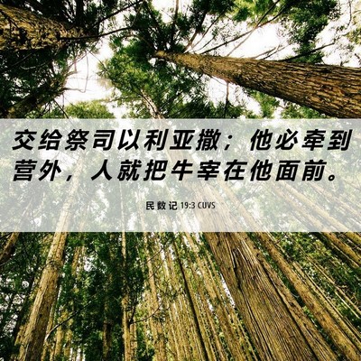 Picture 06 - 民 数 记 19:3 CUVS - 交 给 祭 司 以 利 亚 撒 ； 他 必 牵 - Bible Verse Picture