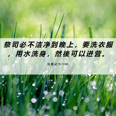 Picture 06 - 民 数 记 19:7 CUVS - 祭 司 必 不 洁 净 到 晚 上 ， 要 洗 - Bible Verse Picture