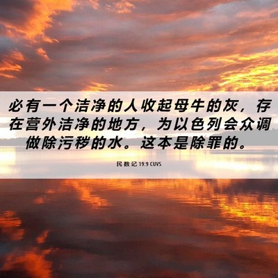 Picture 06 - 民 数 记 19:9 CUVS - 必 有 一 个 洁 净 的 人 收 起 母 牛 - Bible Verse Picture